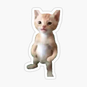 Meet your Posher, Whitney